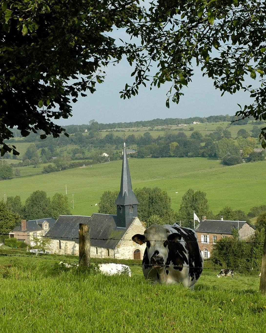 Gite "Le Refuge" Dans Un Domaine De 7Ha Au Calme Vimoutiers Экстерьер фото